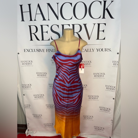 BruceGlen “Color Therapy” Zebra Gradient Slip Dress — Size Large (NWT) - Picture 6 of 12